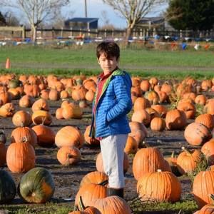 Meet your Posher, Merrie